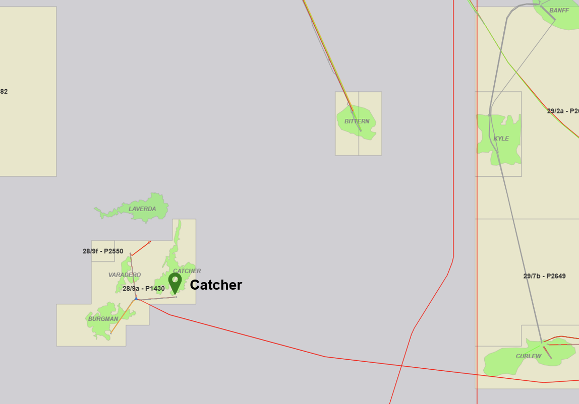 Catcher Field Map
